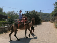 /album/fotogaleria-turecko-oludeniz-my-a-vy/turecko-oludeniz-dovolenka-66-jpg/